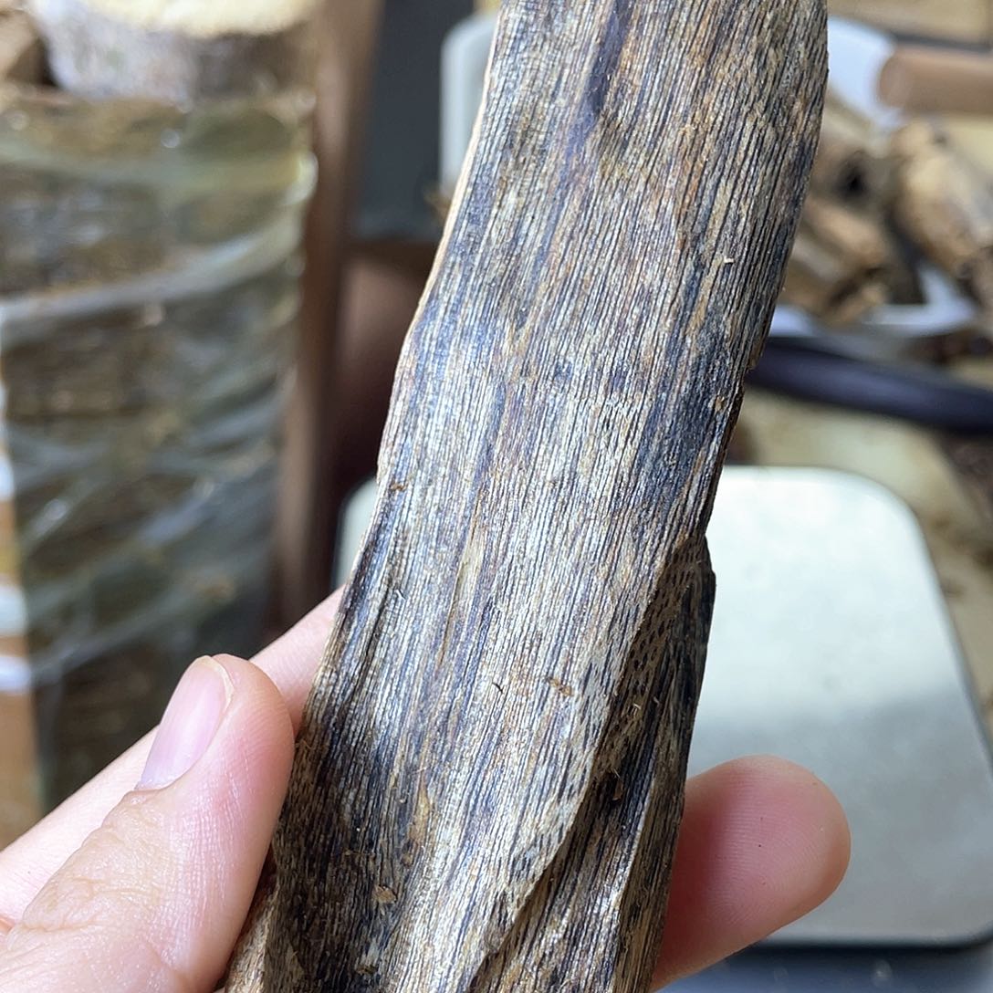 木绿奇楠原材料虫漏25克