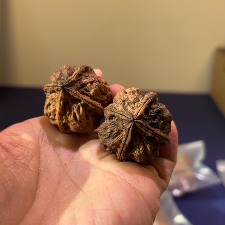 文玩核桃吊坠飘雪四棱