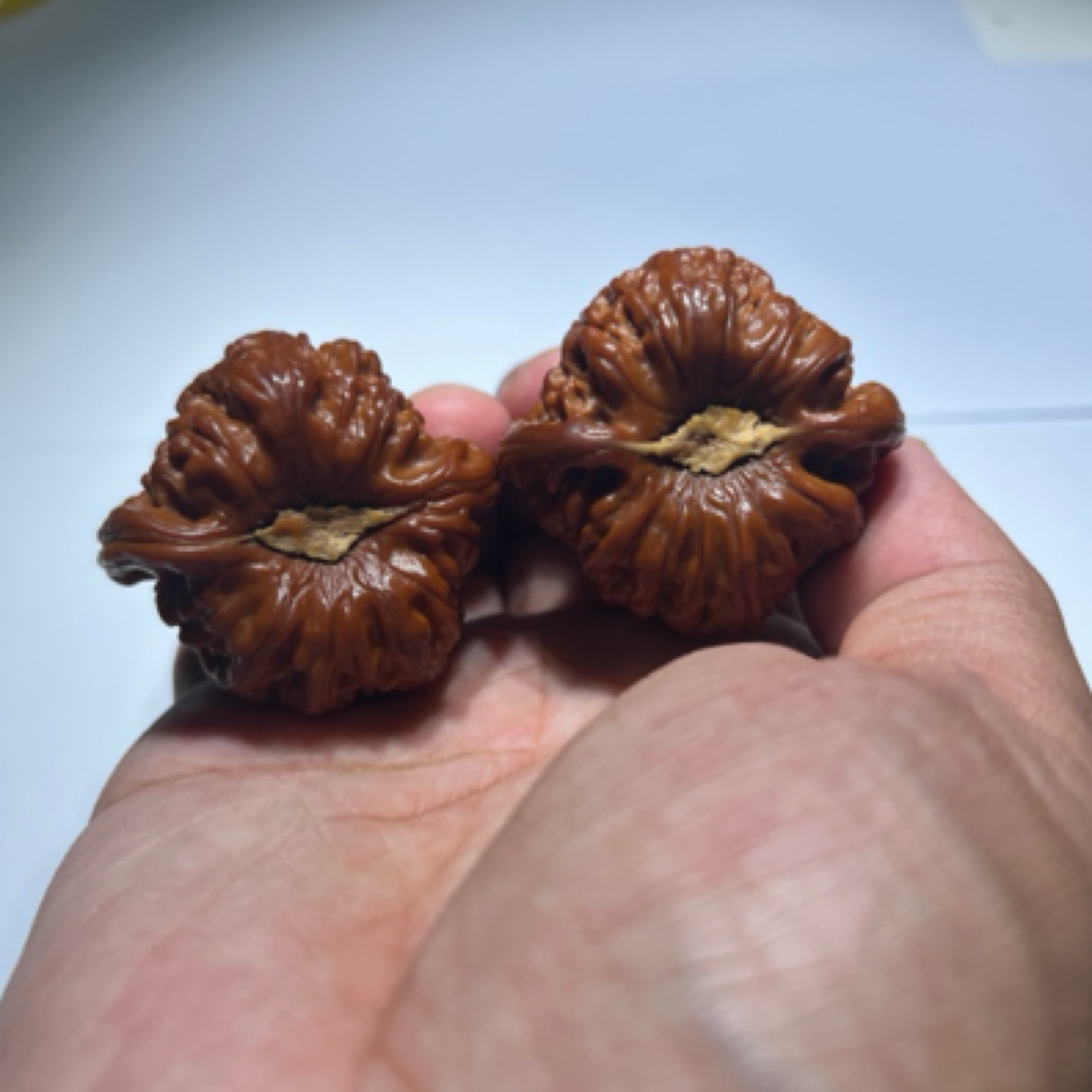 石膏底白狮子文玩核桃