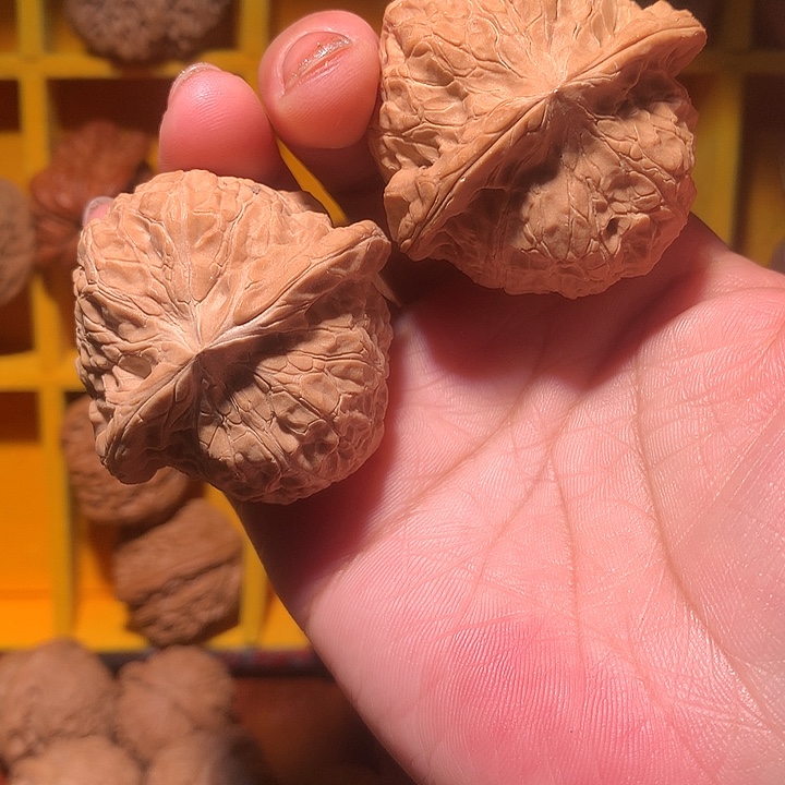 沉***✺大叶紫檀（黑酸枝木类）