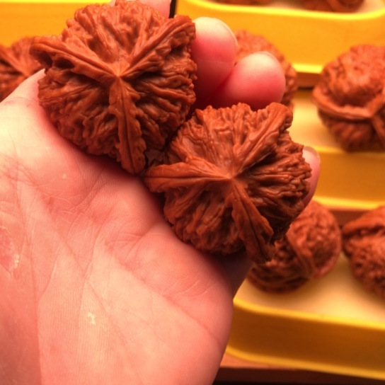 路***过核桃核桃核桃核桃核桃