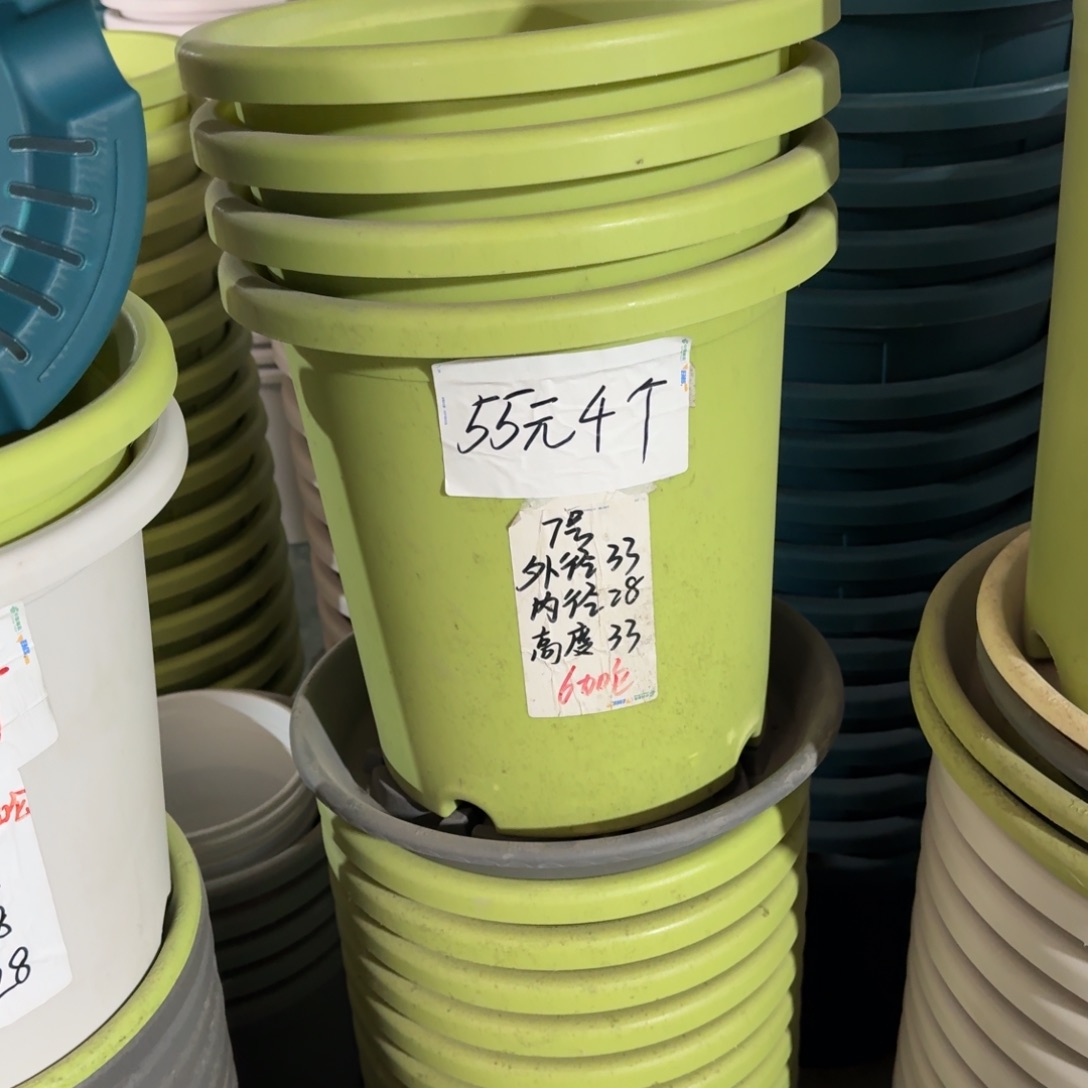 四季7#口径33高33无拖果绿6个