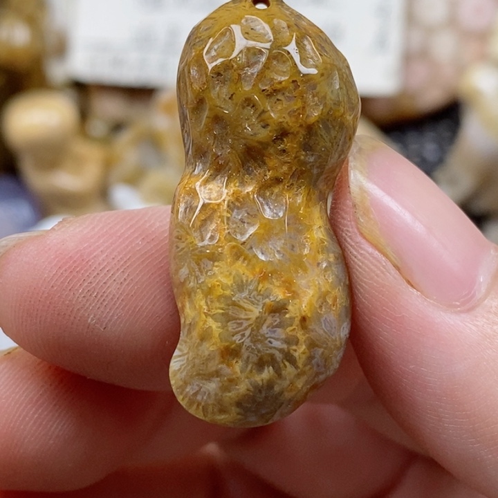颈饰未镶嵌硅化珊瑚（珊瑚玉）