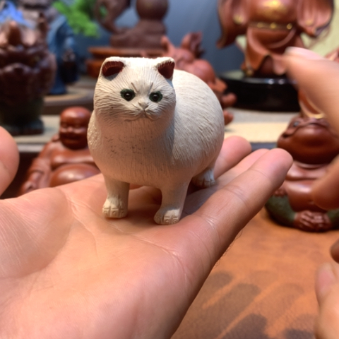 茶壶紫砂紫砂壶手工艺制作