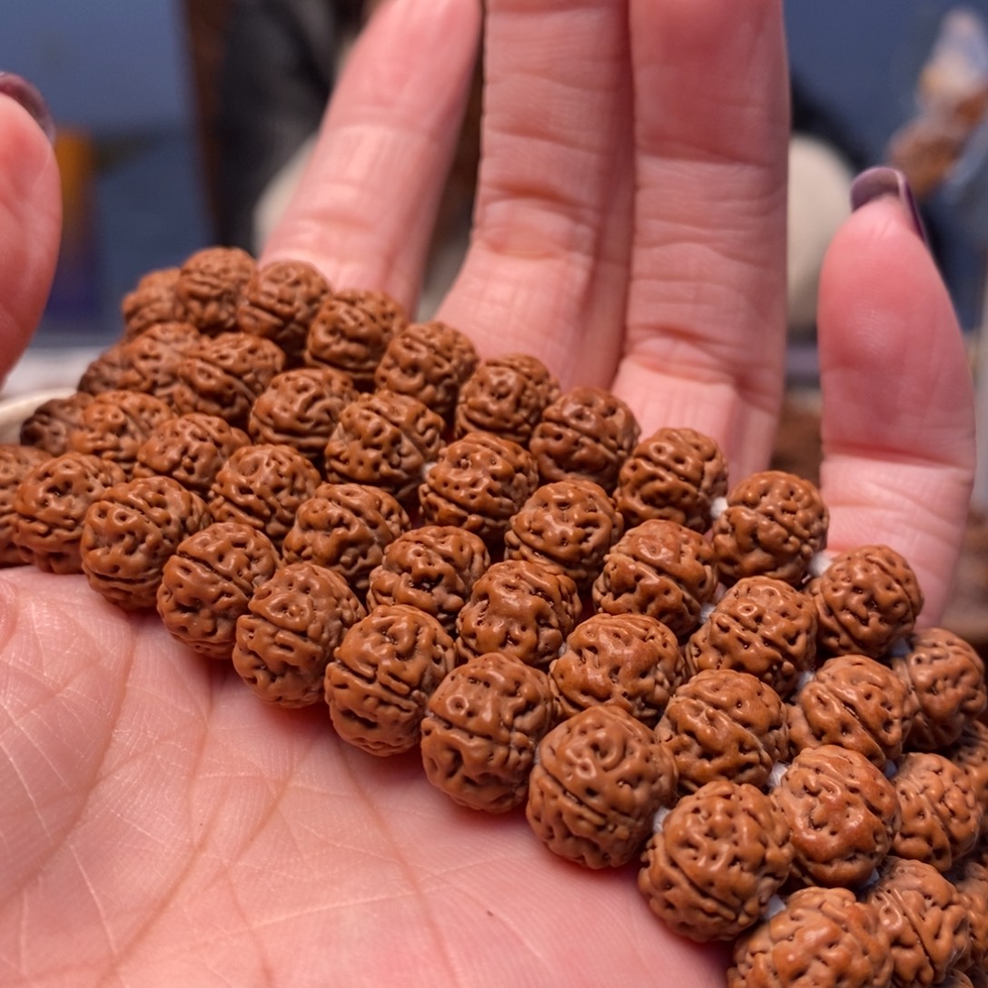 D***…菩提籽类老树王长串