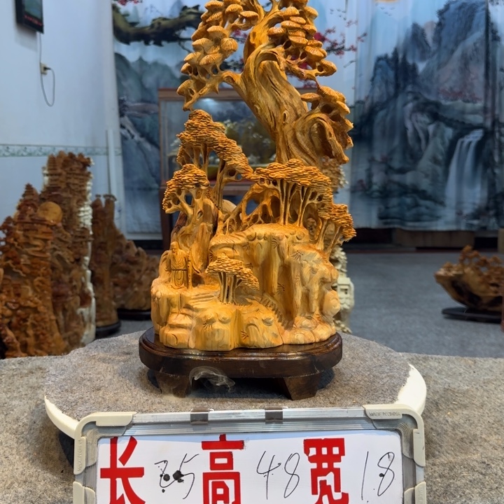 柏木（崖柏）崖柏111111