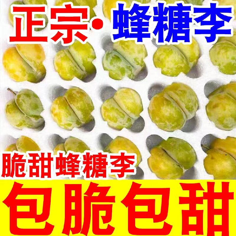 正宗六马蜂糖李当季李子脆甜现摘新鲜应季水果孕妇儿童水果贵州省