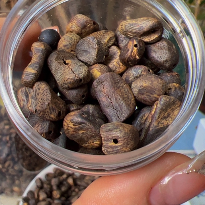 沉香碎屑沉香奇楠留疤高端漏料20克