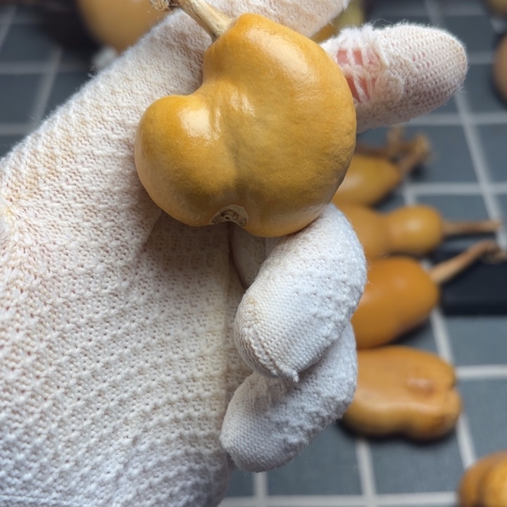 C***糖666666666666666666