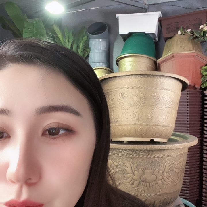 圆30口径花盆十二个