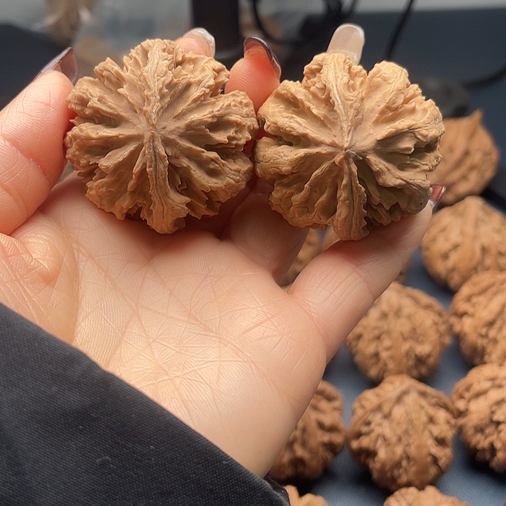 龙脊菩提把件秦岭核桃