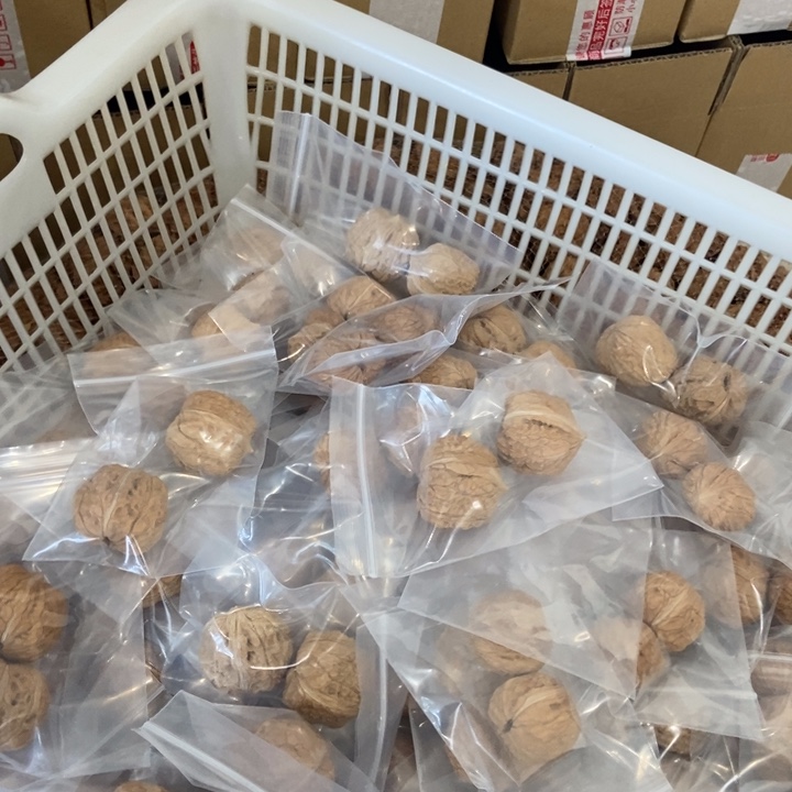 吊坠文玩核桃陨宝