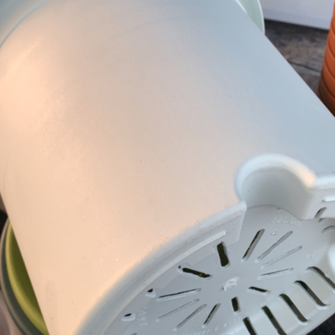 红陶5加奶白无托3个