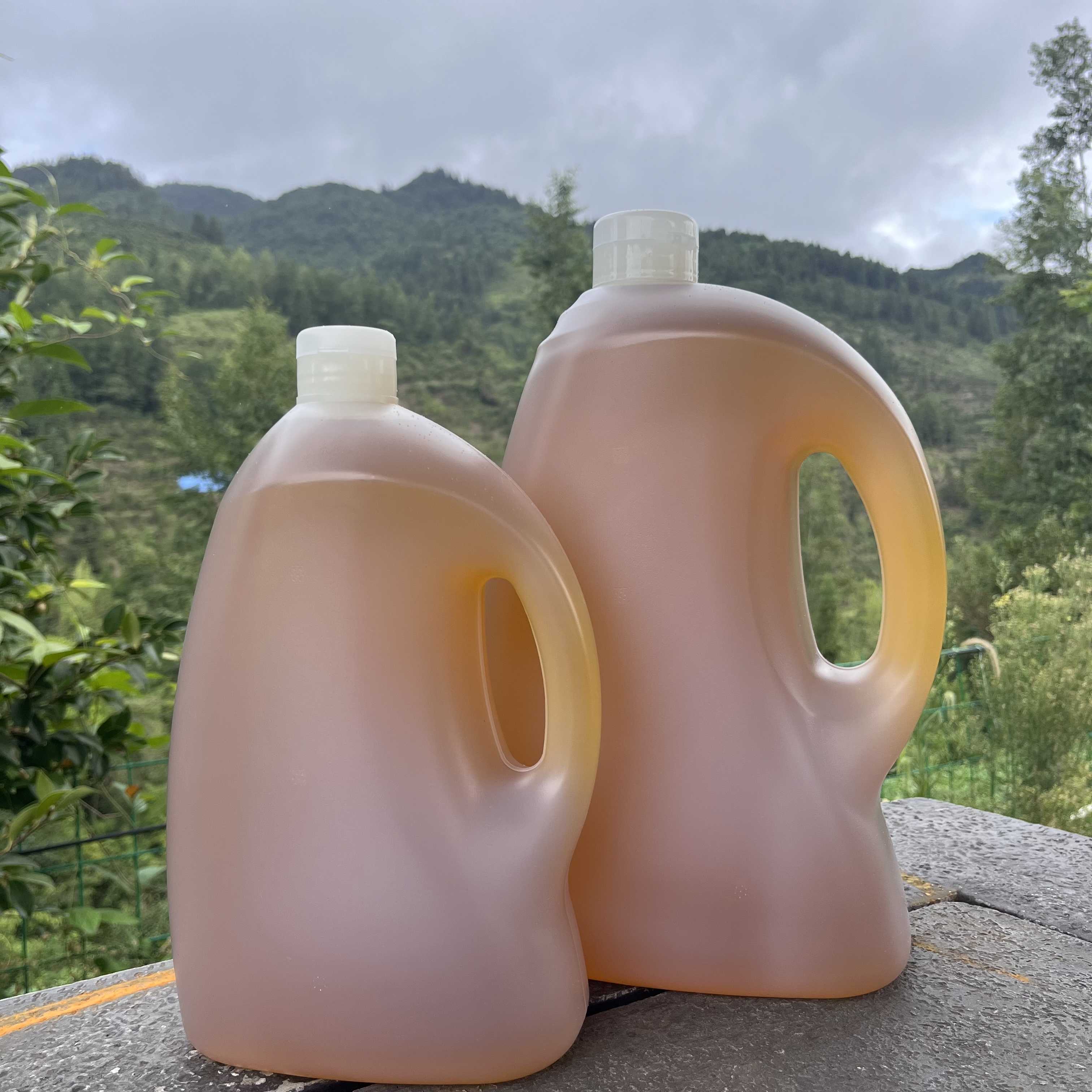 高山土茶油4.9斤装/9.5斤装（送茶枯粉）