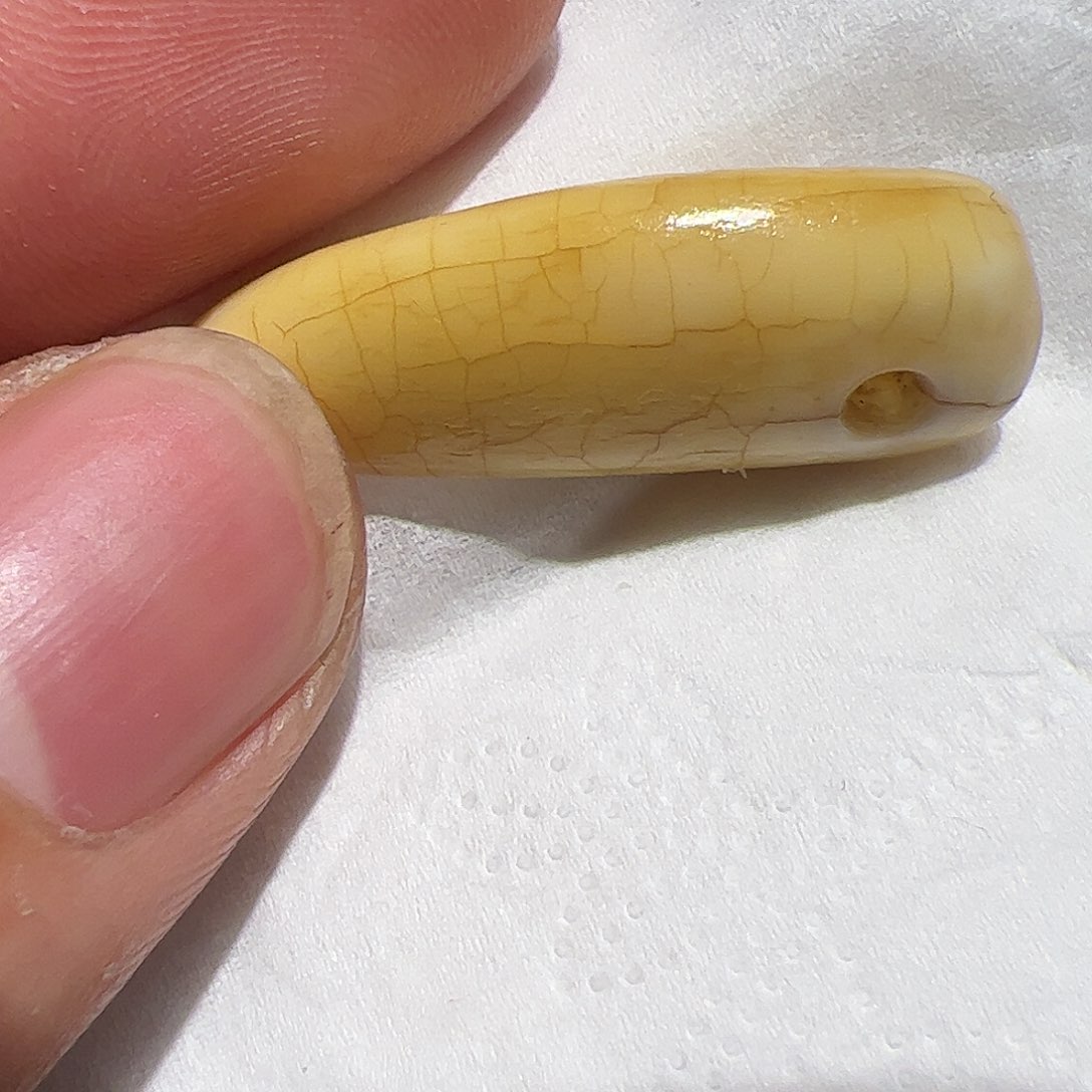 香榧木公****?在这里的