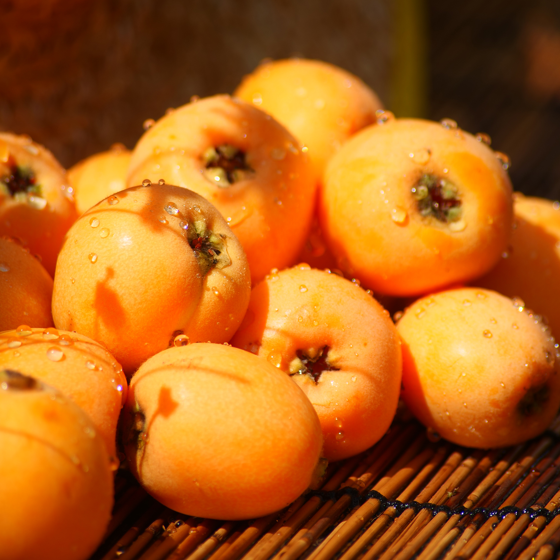 z四川大五星枇杷新鲜水果应季香甜多汁皮薄肉厚