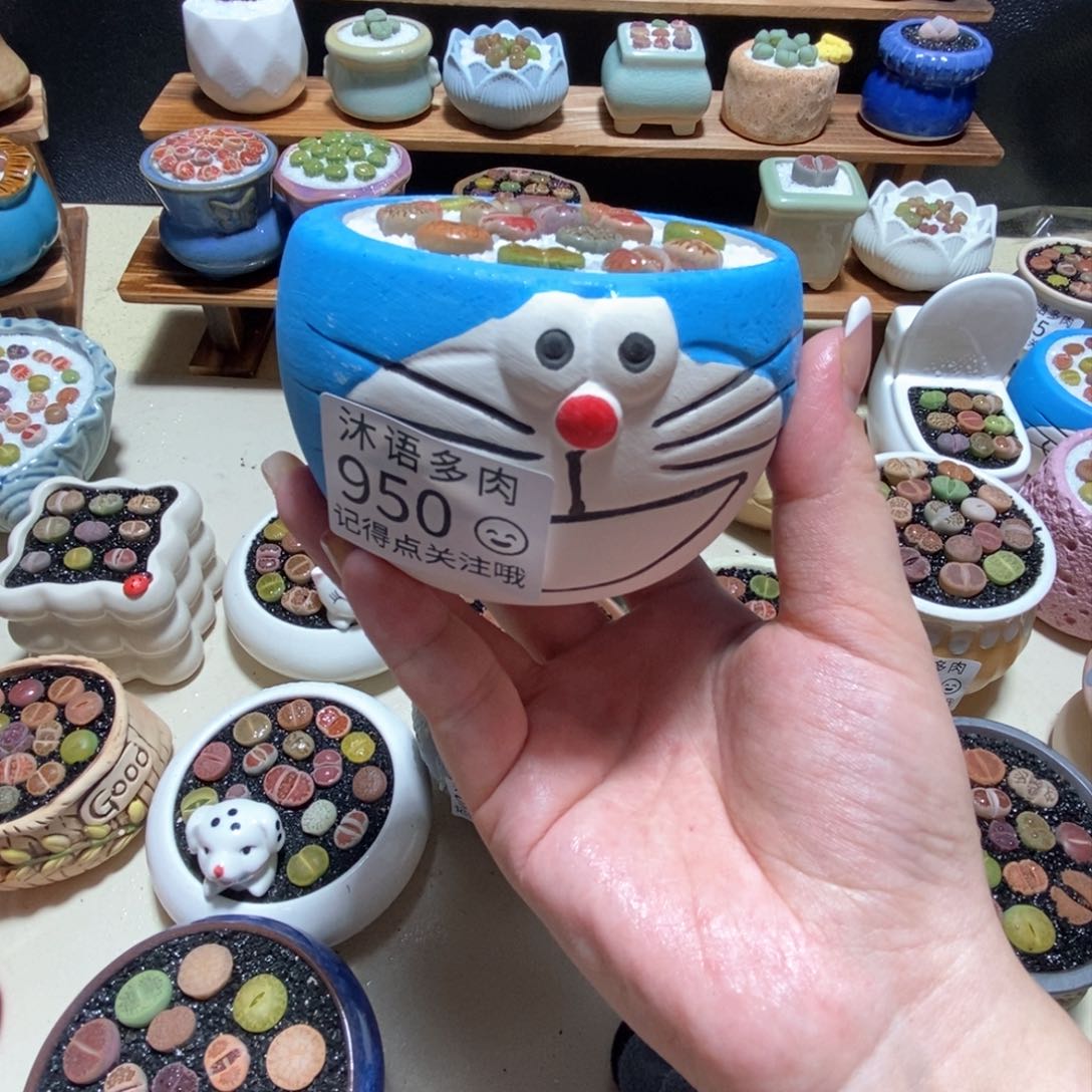 所见即所得 一物一拍950