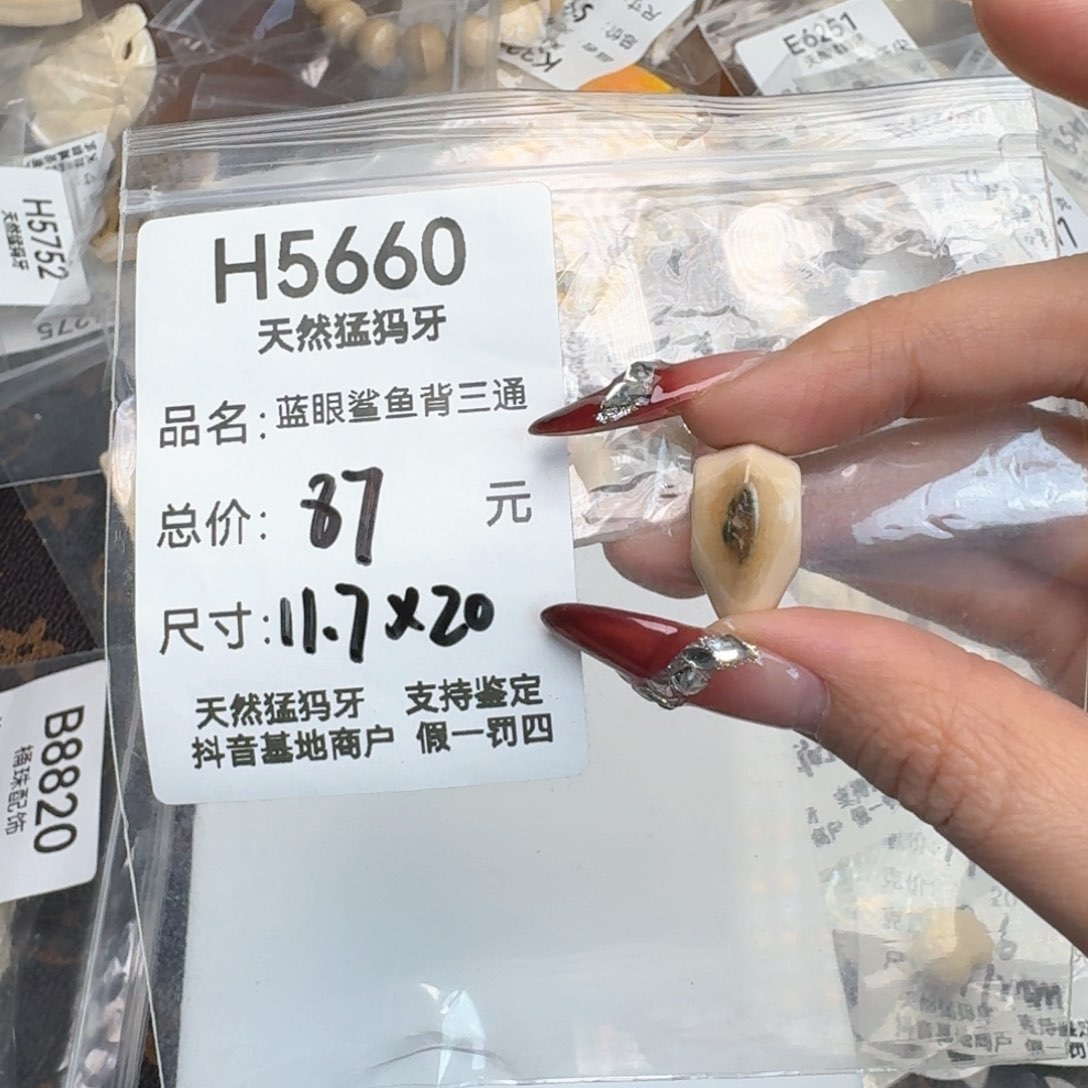 柏香籽/百香籽吊坠猛犸