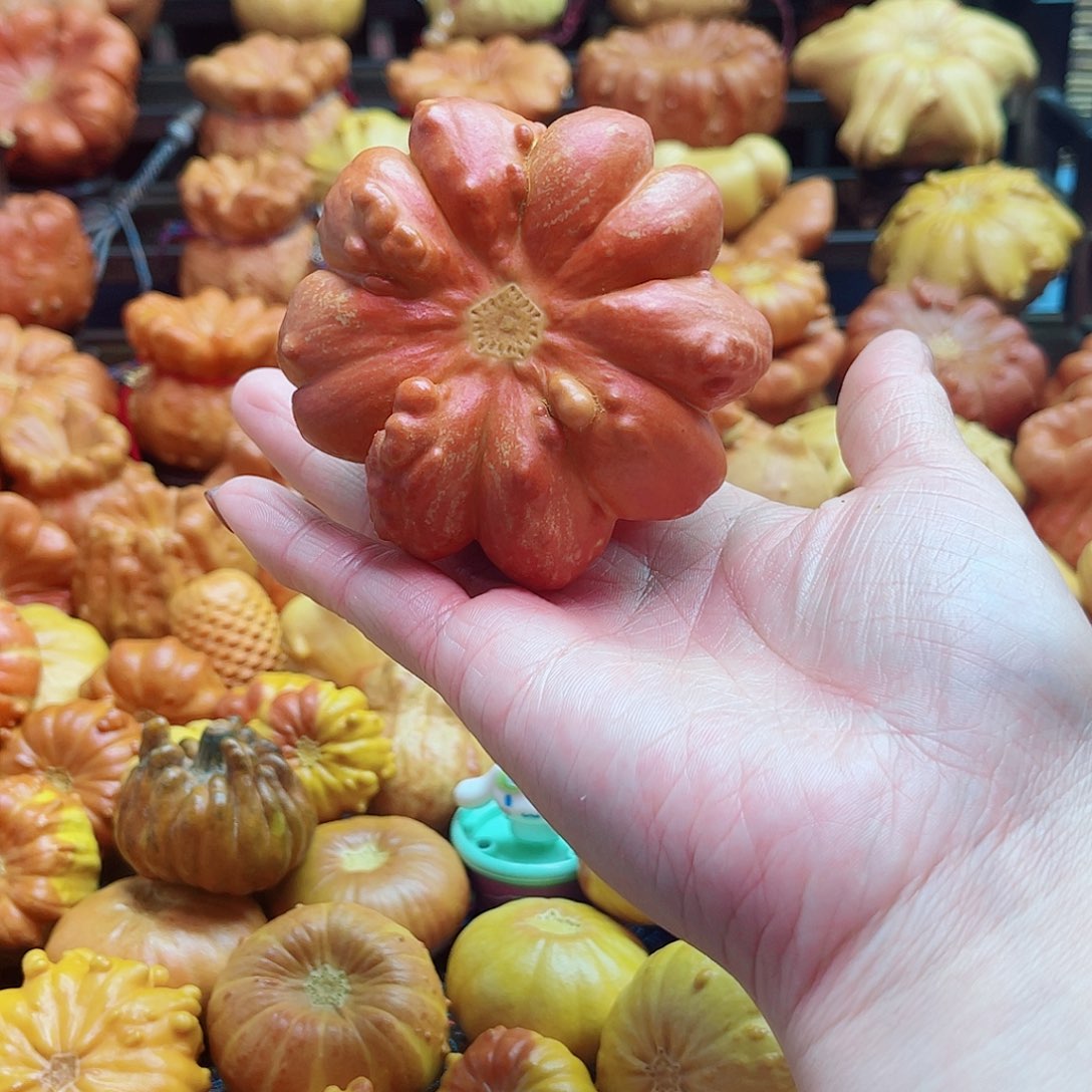 大叶紫檀（黑酸枝木类）全品福利