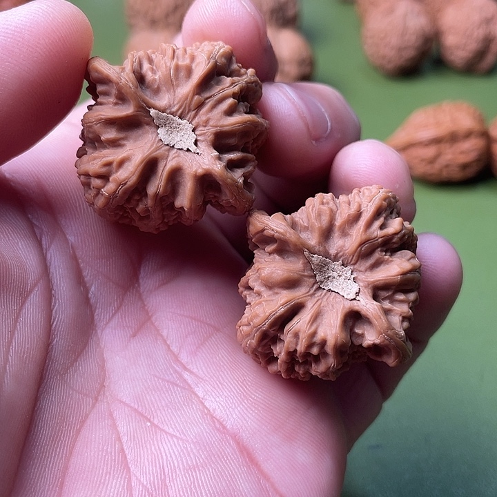 核桃手串/手链精品密纹核桃核桃核桃