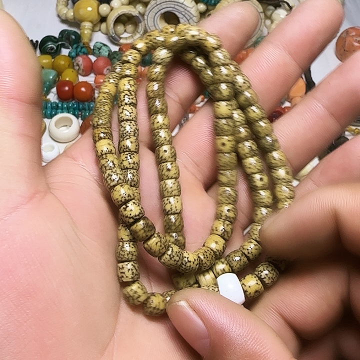 一条11111222222尔甲