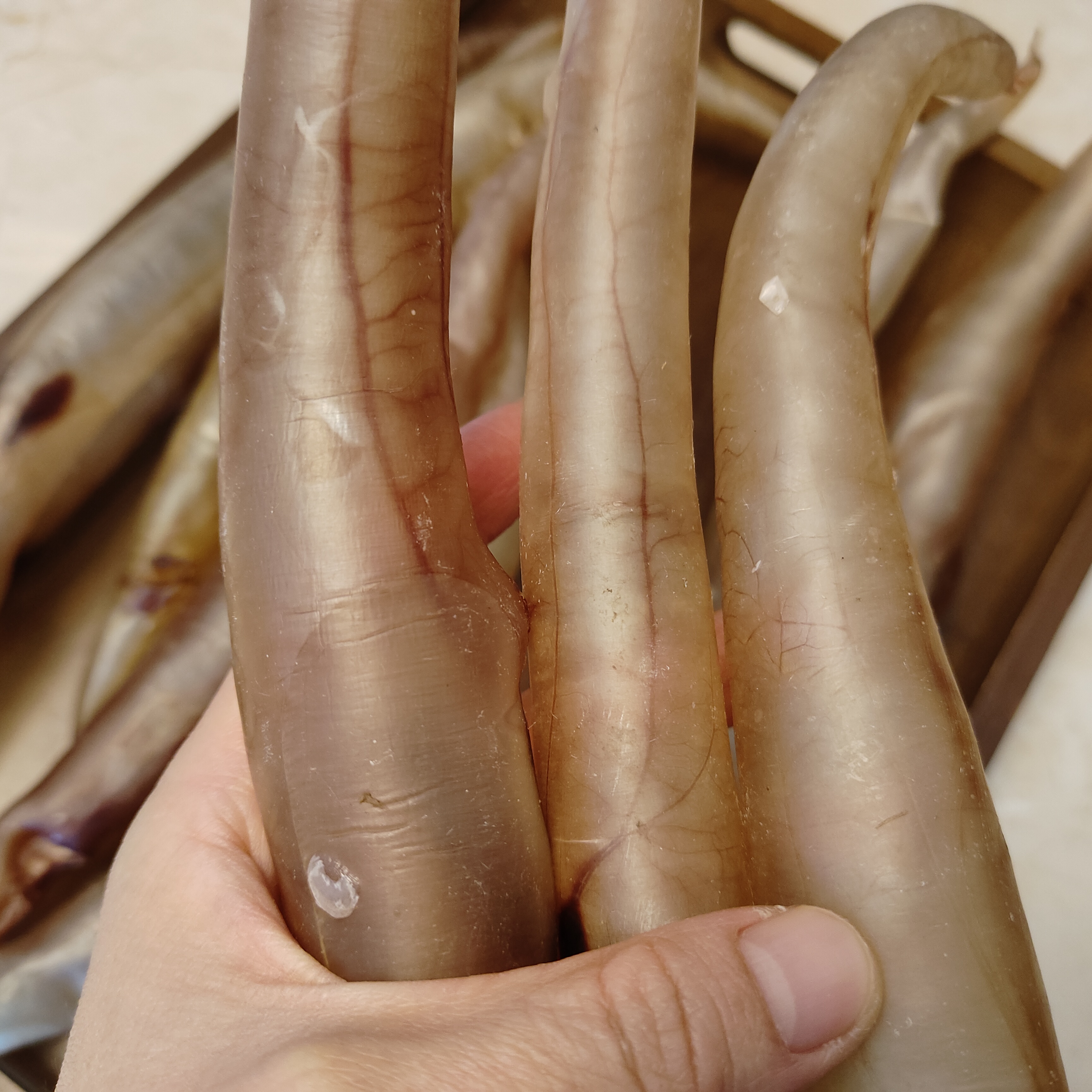 70-80头本港海钓野生鳗鱼胶麻鱼鳔月子滋补品海产品干货