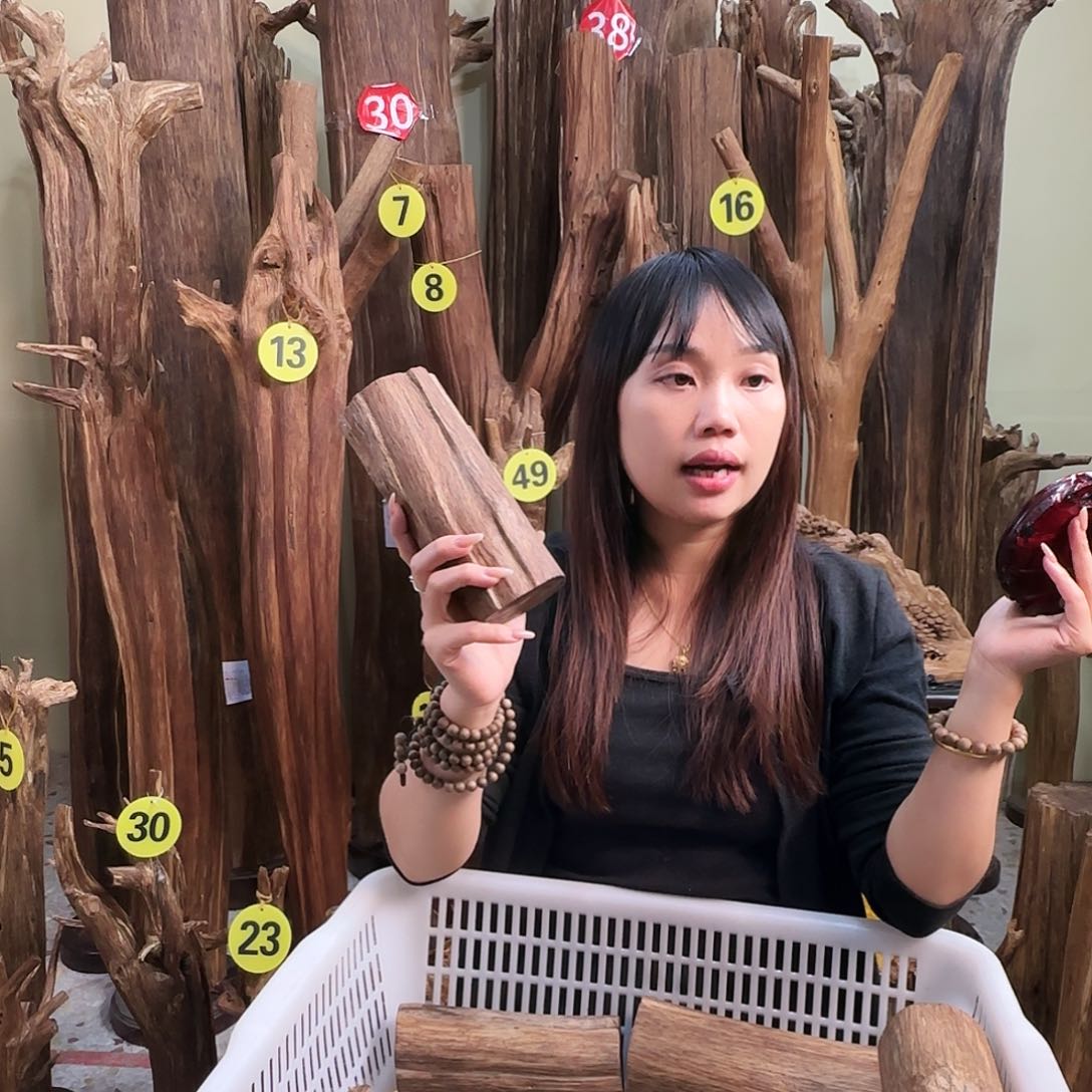 沉香沉香碎屑天然沉香原材料香料熏料