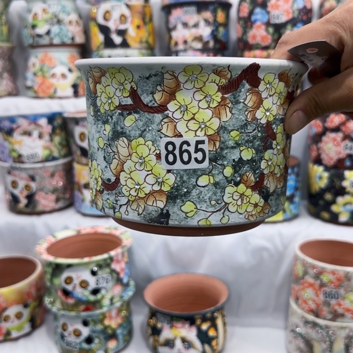 田小姐多肉花盆1个