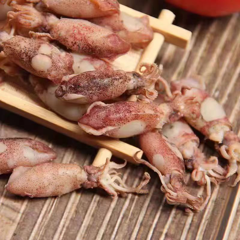 野生海兔干货新鲜小乌贼小墨鱼仔深海捕捞美味海鲜