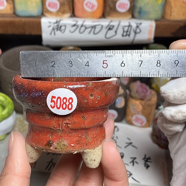 红陶拍5送一个小