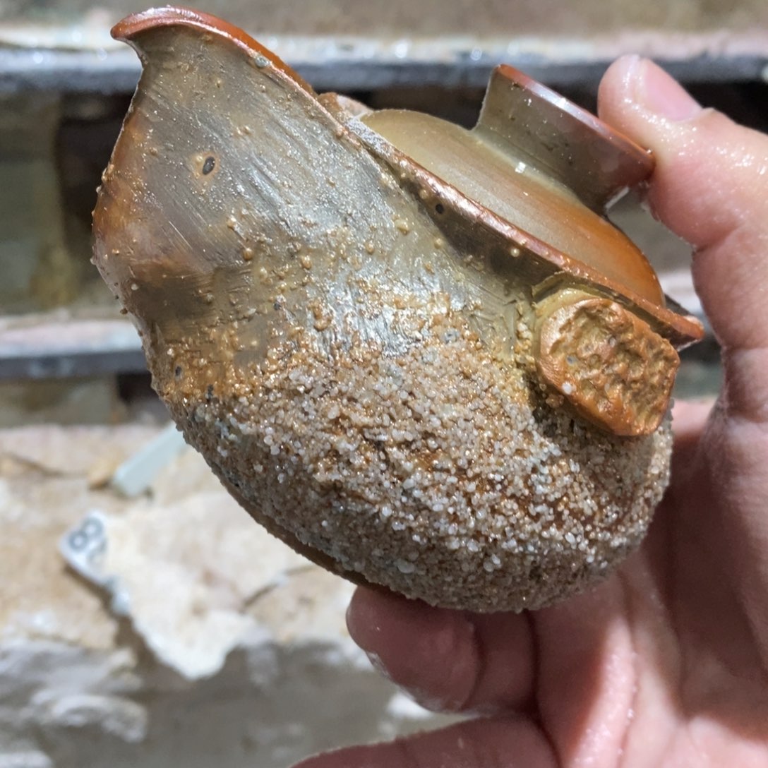 开窑大吉，高货多多。523