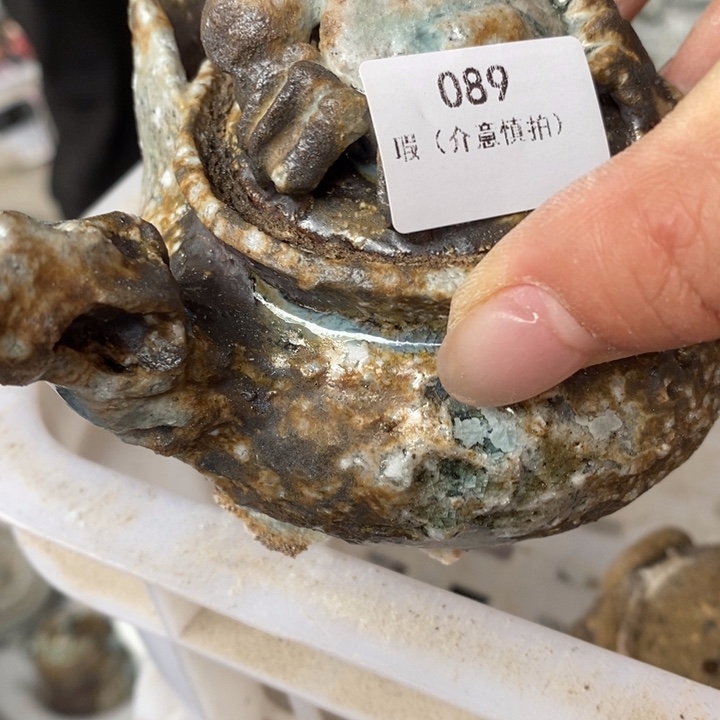 傻***羯柴烧裸烧源头产地