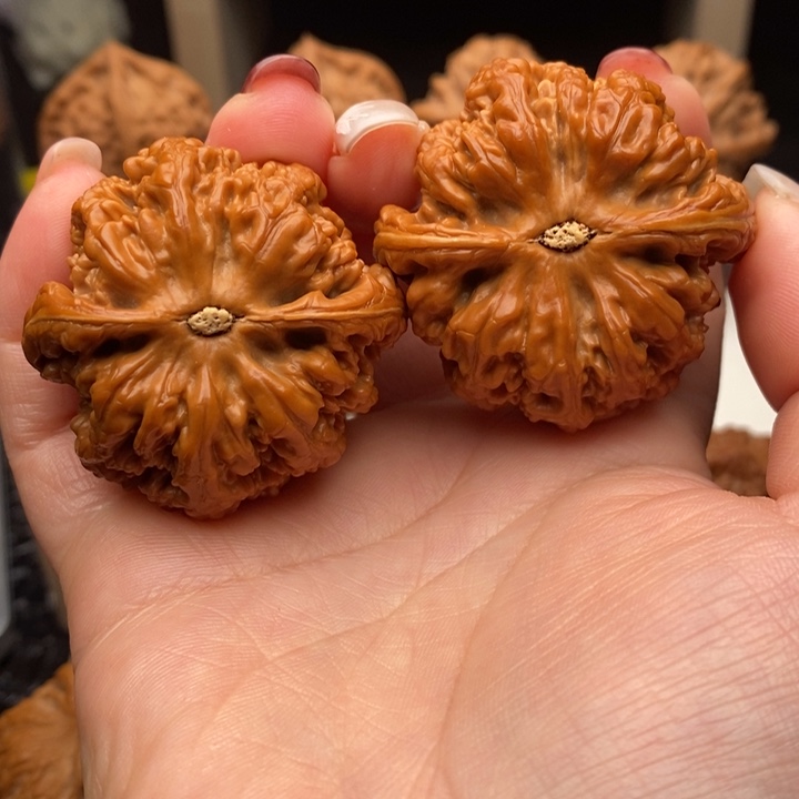 永***杨文玩核桃把件大粗筋