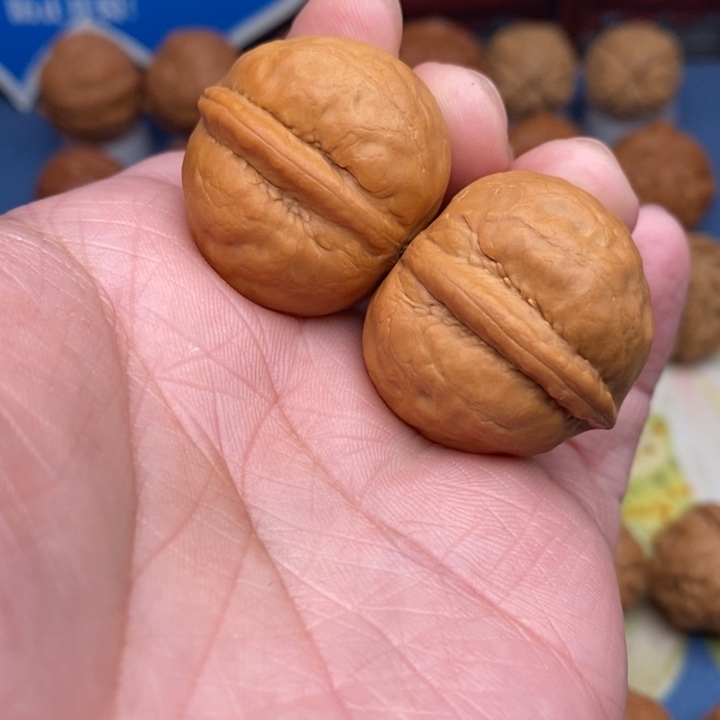 文玩核桃把件小海豚