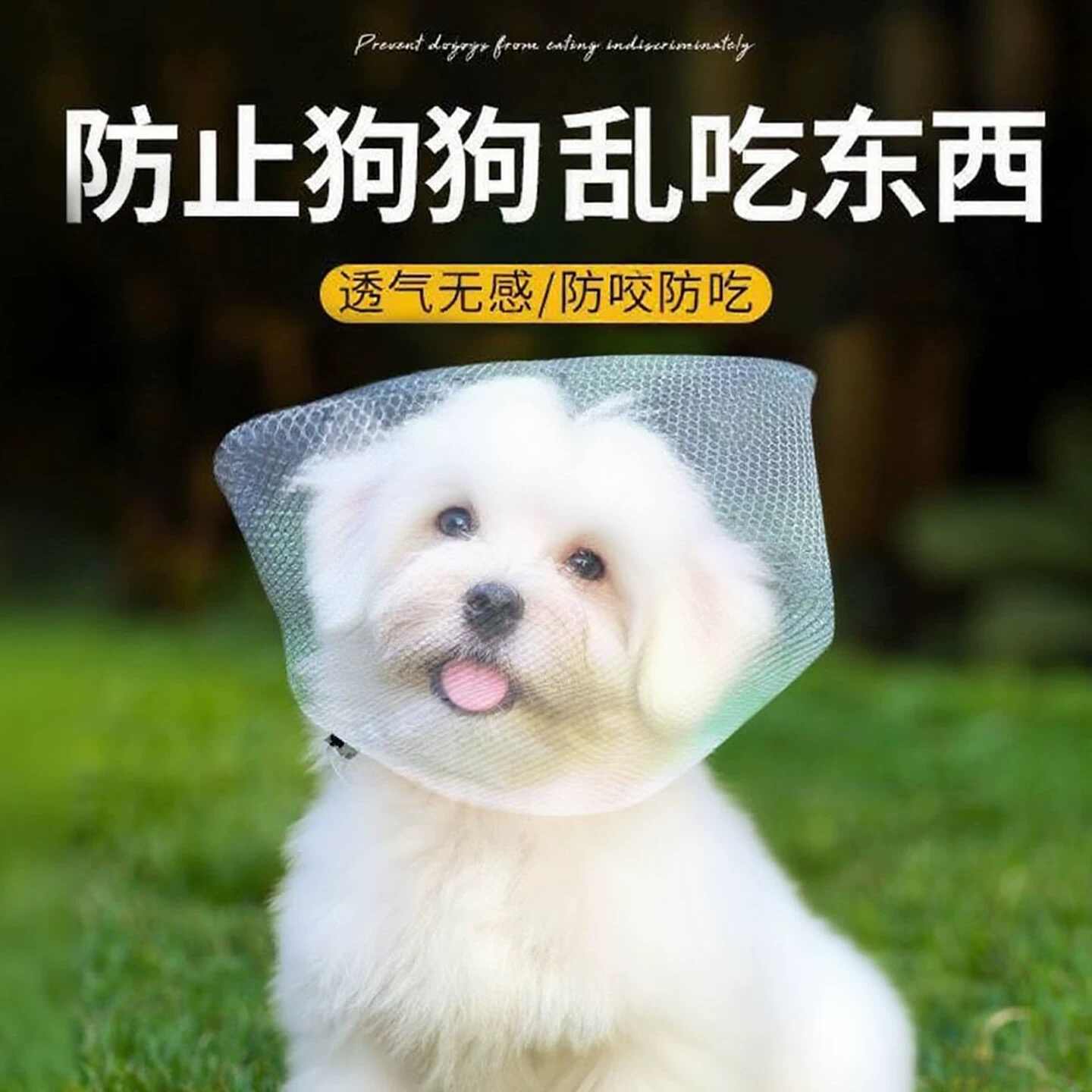 狗狗防乱吃网纱面罩狗狗防咬乱吃嘴套嘴罩防舔网套比熊头罩神器