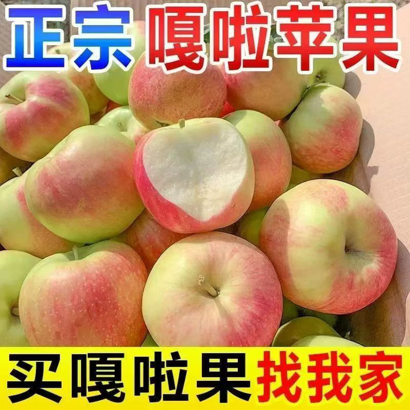 正宗嘎啦苹果现摘应季水果新鲜小苹果直发整箱批发