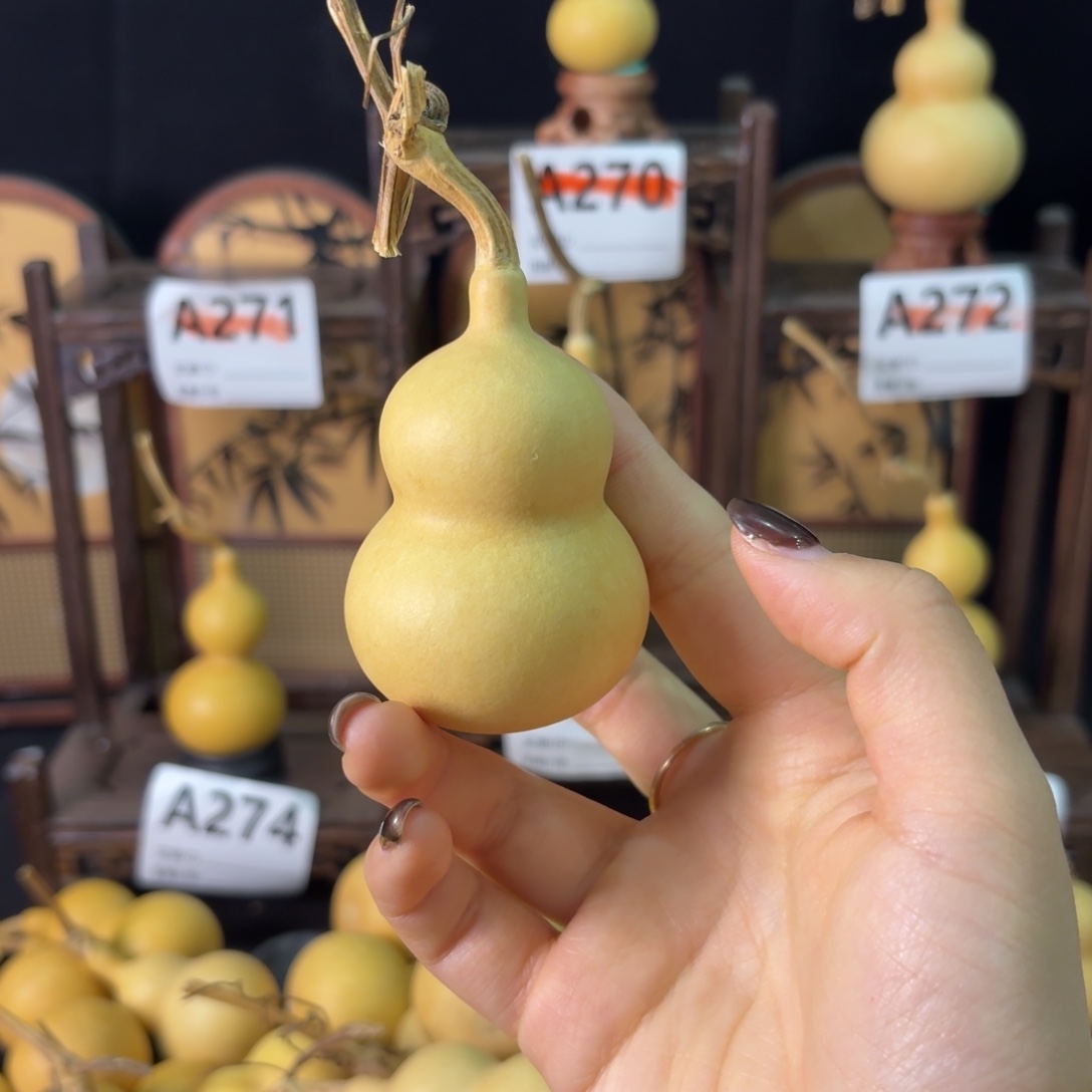 小****我也不知道我为什么会