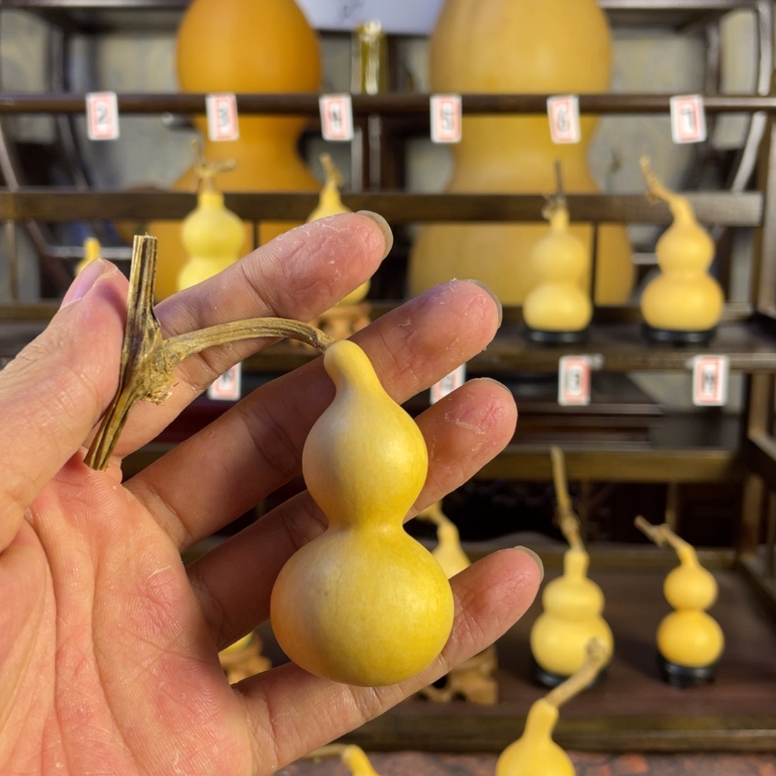 王***。大叶紫檀（黑酸枝木类）