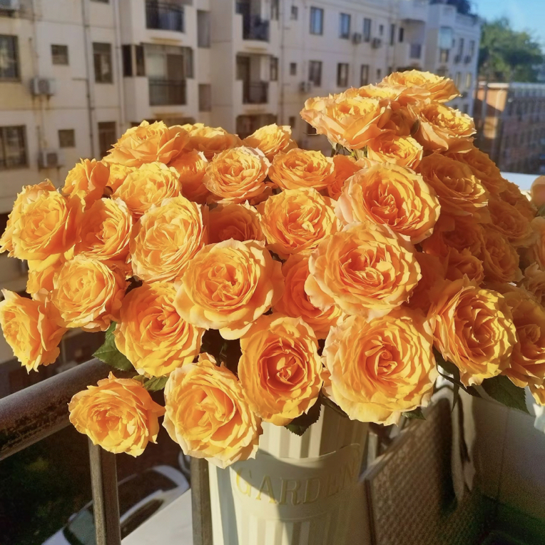 【九里花田】珞聍公主-基地直发-一单普通快递两单发顺丰