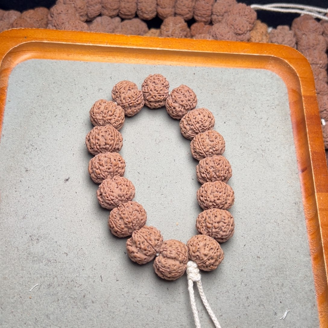 菩提5号金刚菩提六瓣20