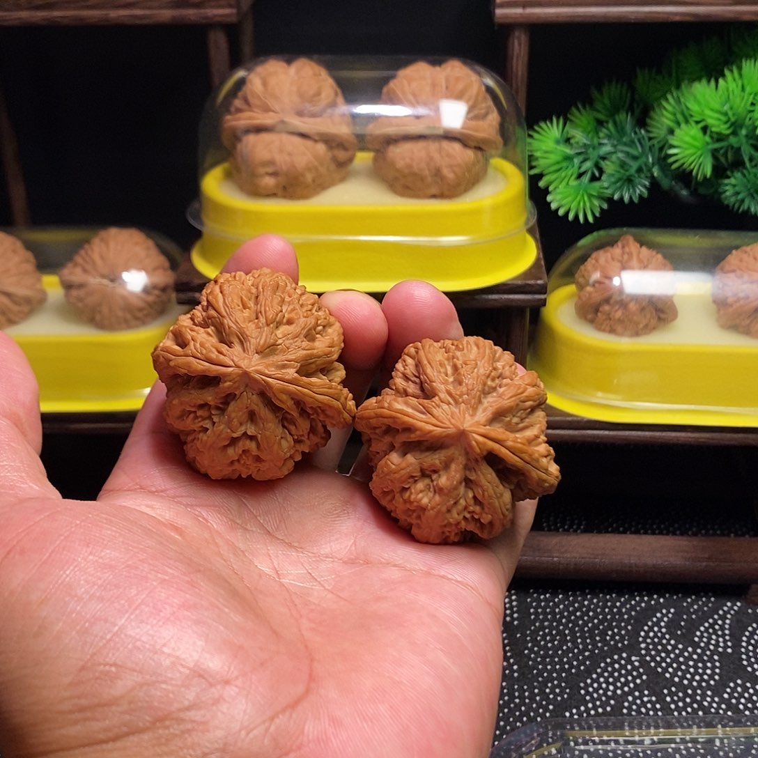 把件文玩核桃粗筋