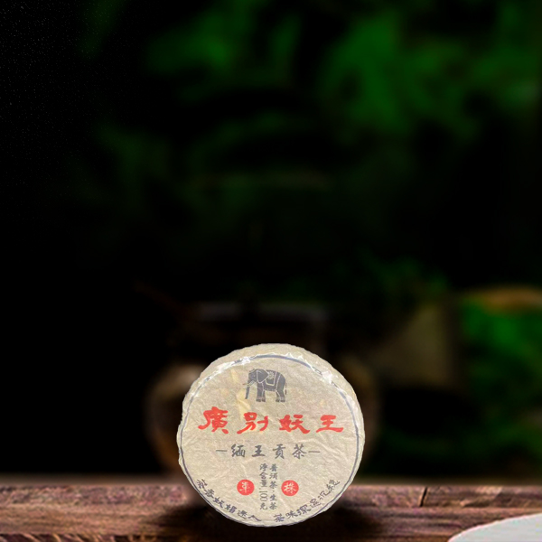 二十二年原料广别妖王100g生茶（配1泡同款品鉴装）