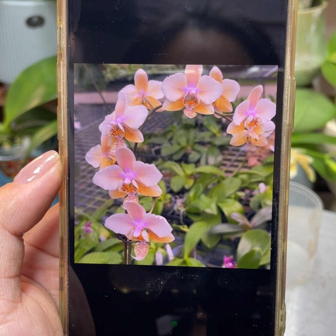 完全开放Swr23pu，2.5寸