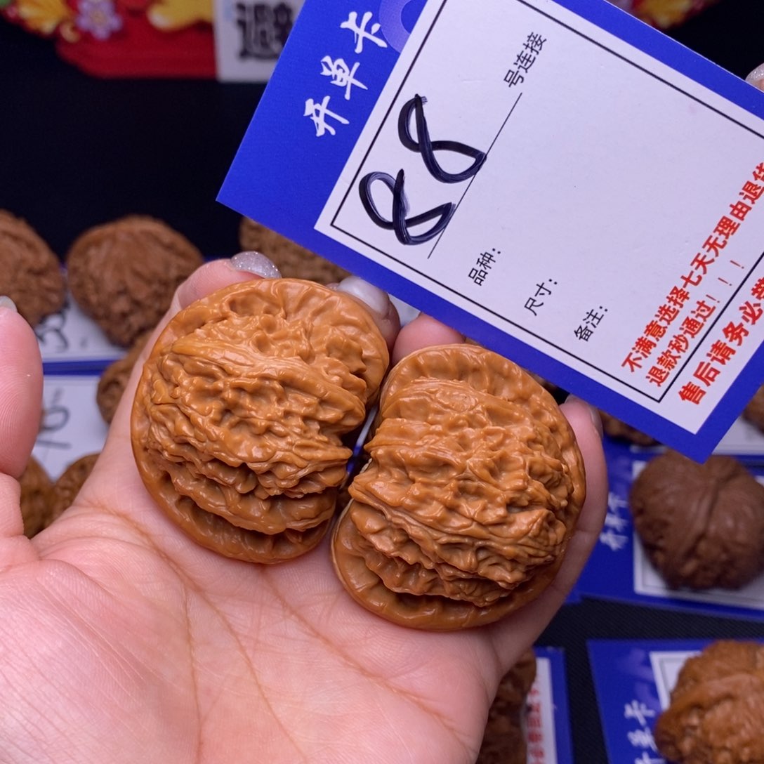88号链接白狮子4.5尺00000