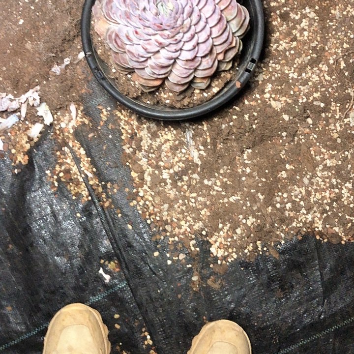 ?****?17////////////////