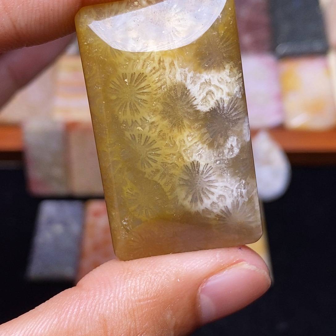 乱***河合金珊瑚玉硅化玉