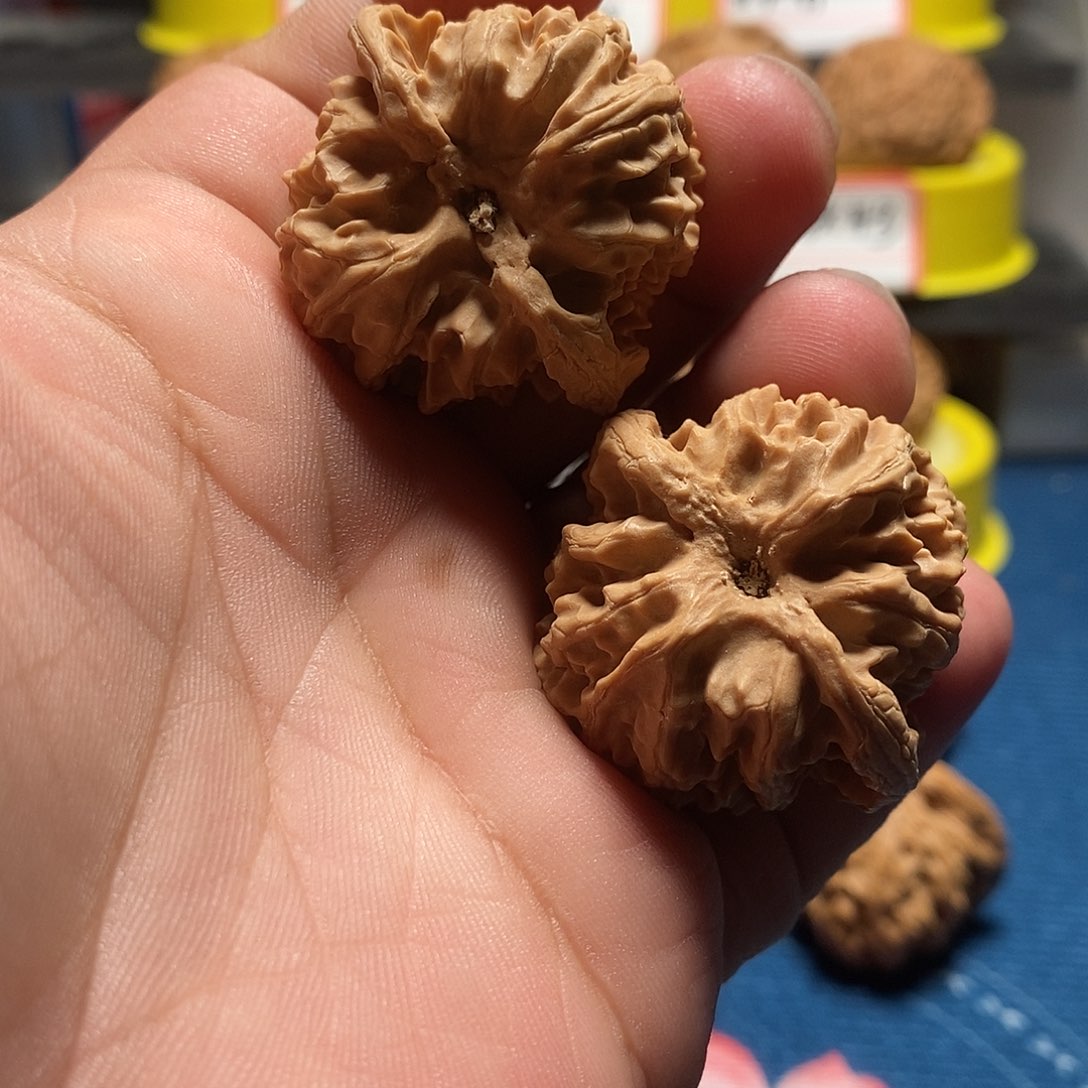 文玩核桃吊坠普通苹果园