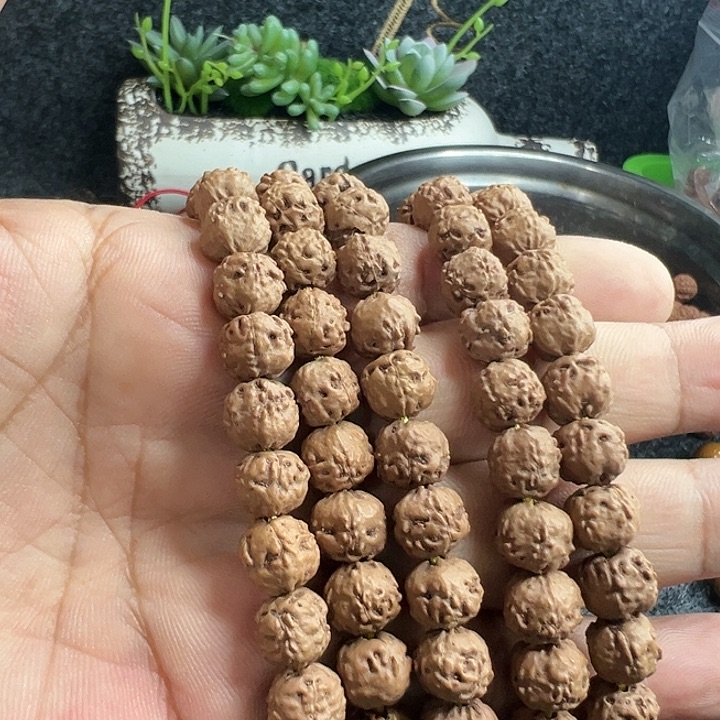 金刚菩提手串佛手小歪介意勿拍