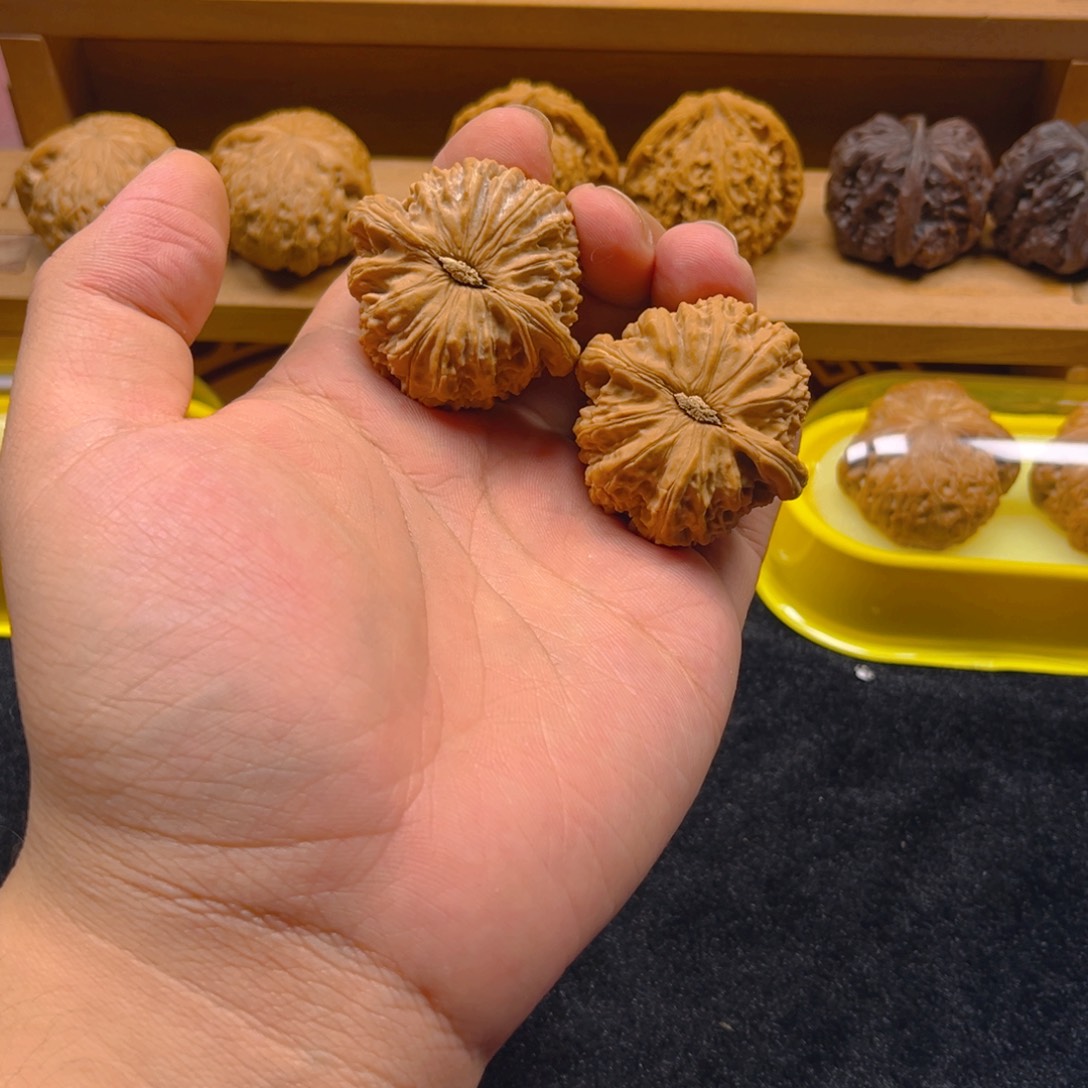 桃核把件全品白狮子44