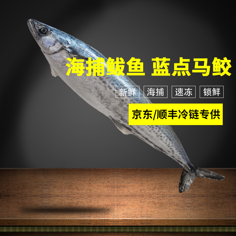 大号燕鲅鱼蓝点马鲛鱼新鲜野生海捕威海小船海鲜深海白腹马鲛燕尾